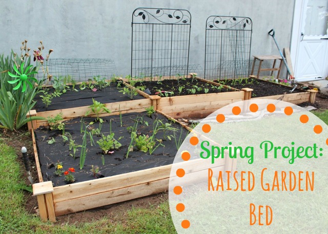 Tips For an Incredible Raised Garden Bed!