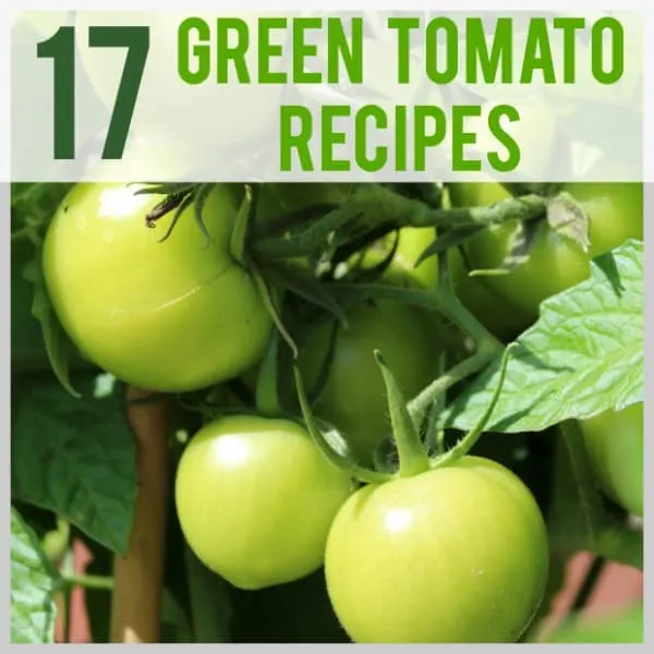 green tomato recipes