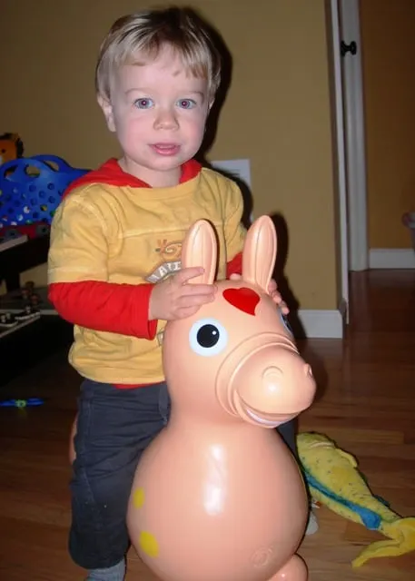 Rody Horse