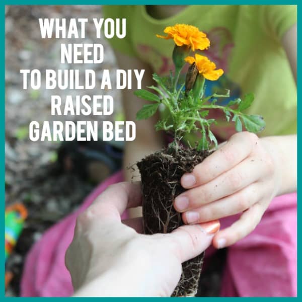 DIY Raised Garden Bed Supplies