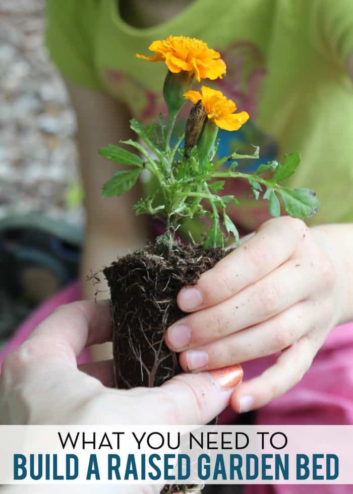 DIY Raised Garden Bed Supplies