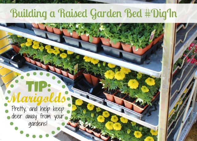 DIY Raised Garden Bed Supplies