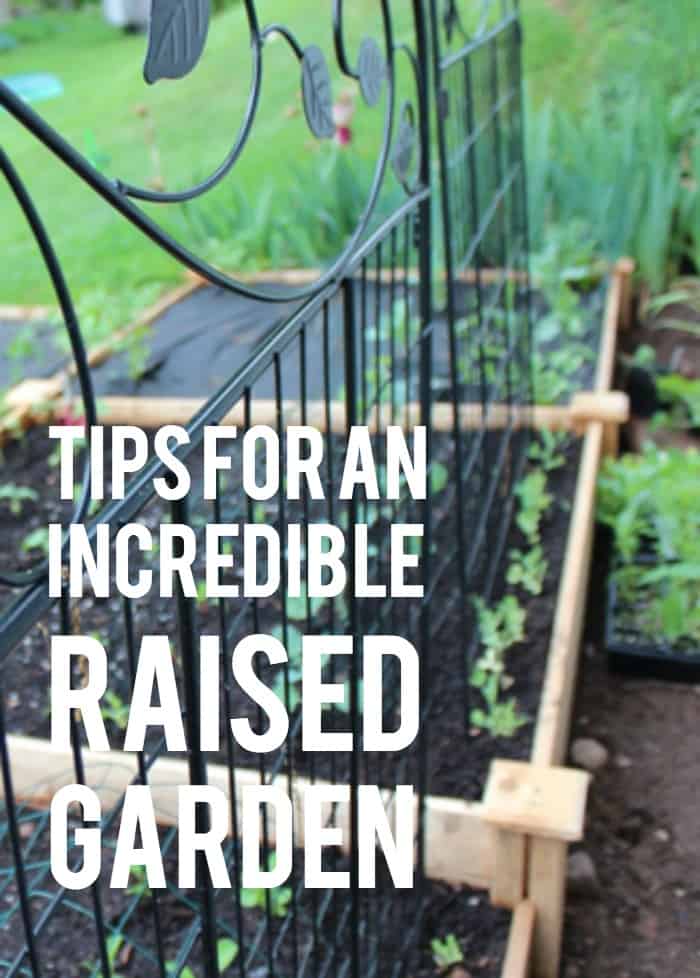 close up of raised garden beds with a fence