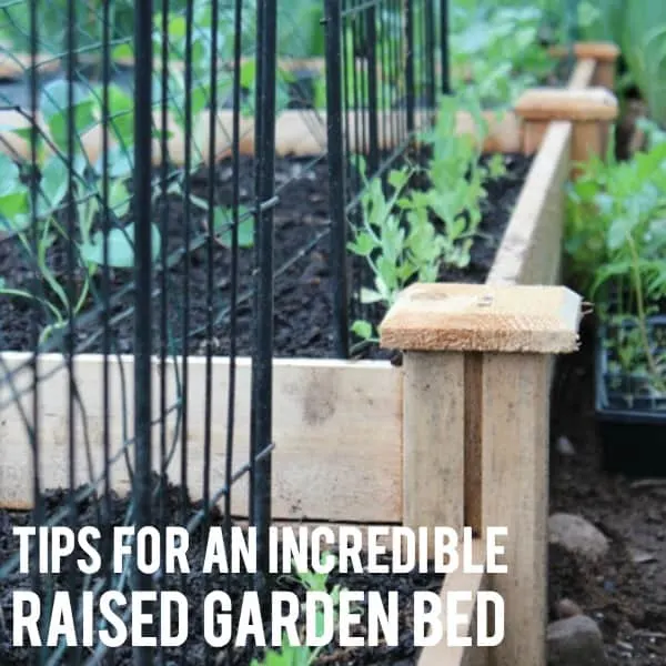 Tips for Raised Garden Bed