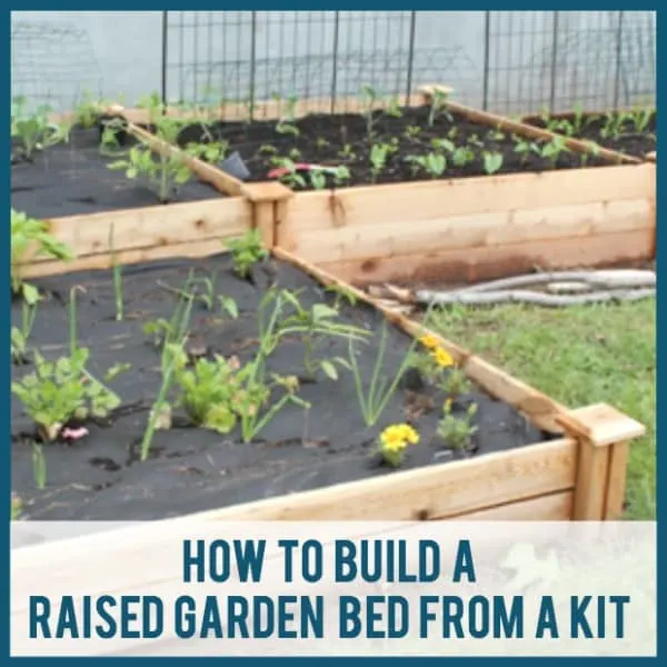 steps to build a raised garden bed