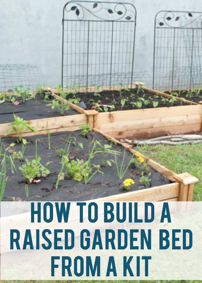 steps to build a raised garden bed