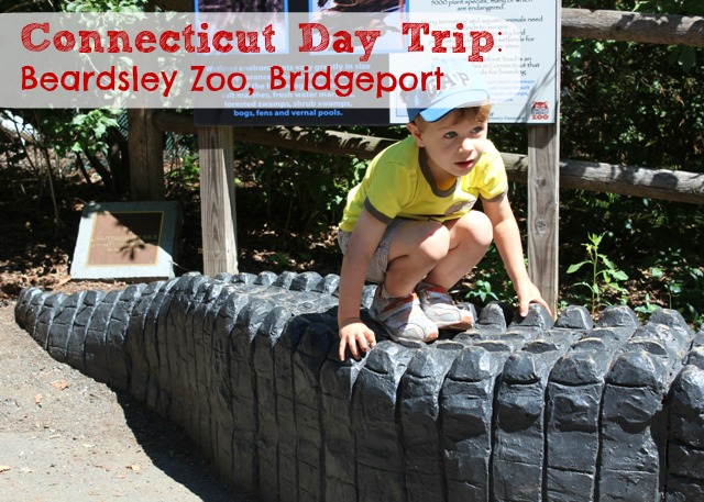 connecticut day trips