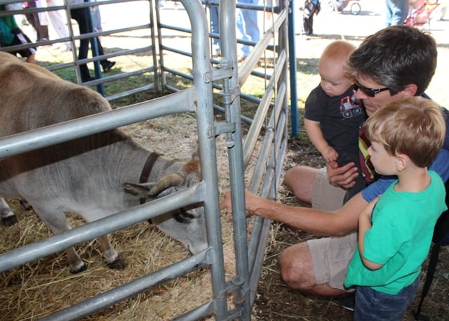 Durham Fair Petting Zoo