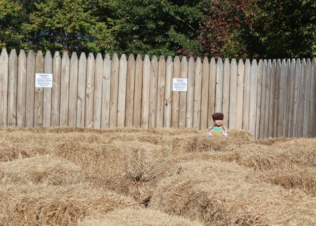 Pumpkintown USA Fall Hayride