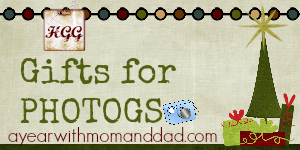 holiday gift guide 2013