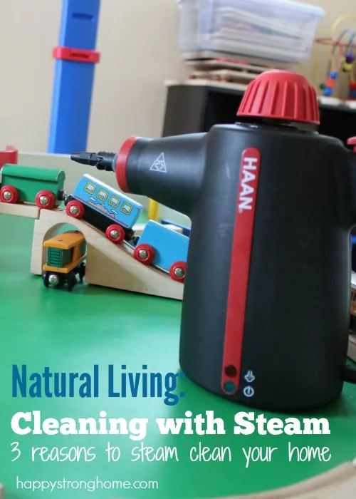 steam cleaning