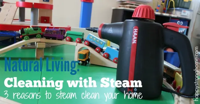 steam cleaning