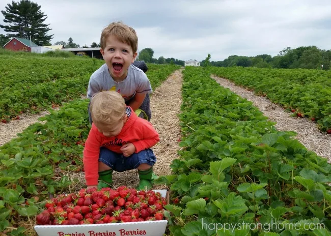 raw strawberry jam