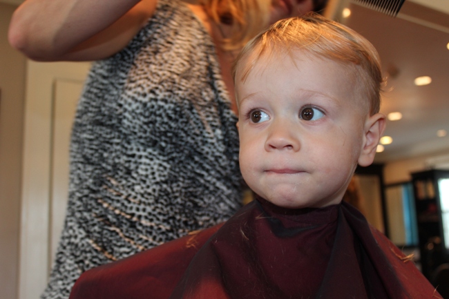 His First Haircut - Happy Strong Home