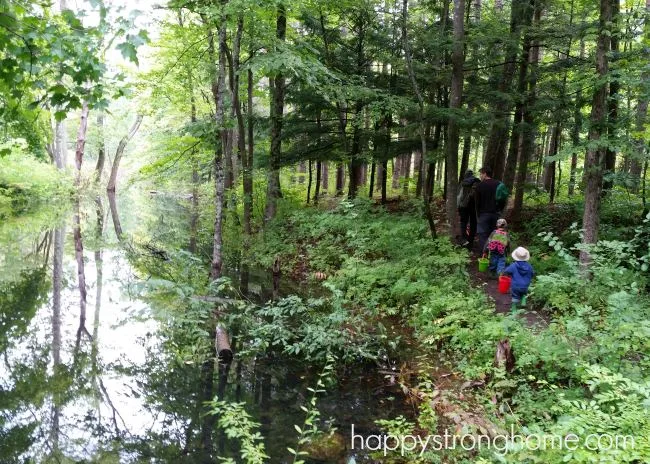 Camping Emerald Lake Vermont