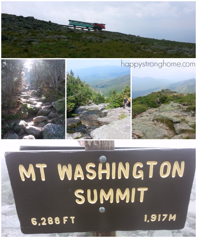 Mt Washington Hike