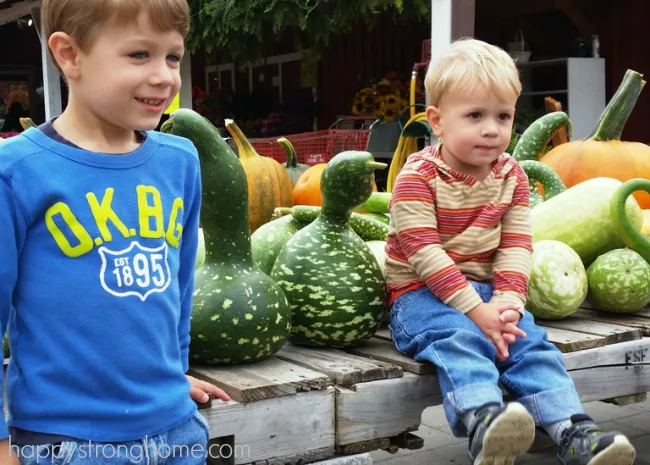 Farm Stand