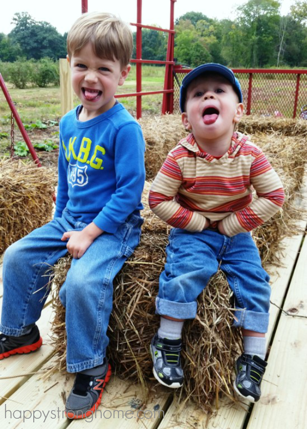 Hay Ride Silly Boys