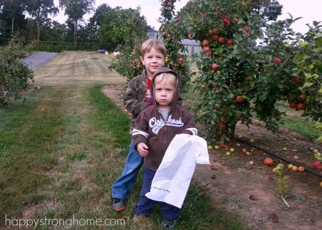 Picking Apples