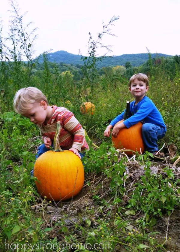 Picking Pumpkins