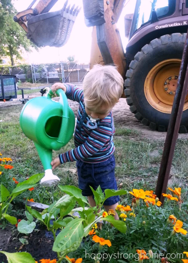 Watering the Garden