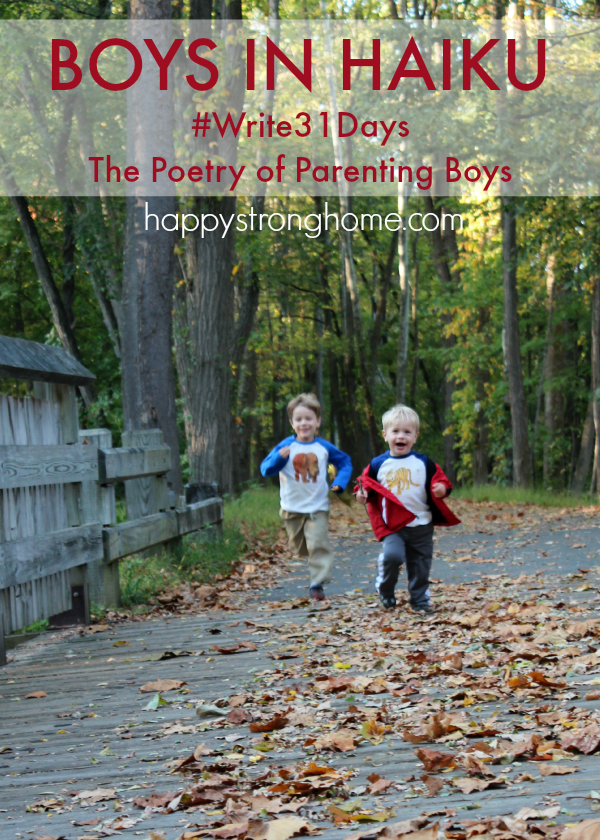 Boys in Haiku Poetry