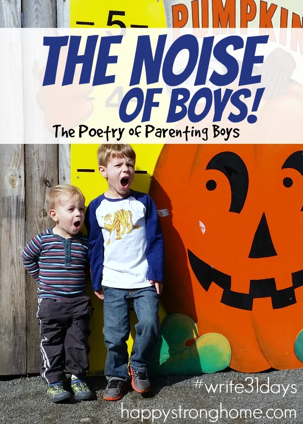 noise of boys parenting poetry