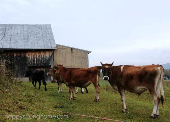 Greene Kitchen Farm Pennsylvania