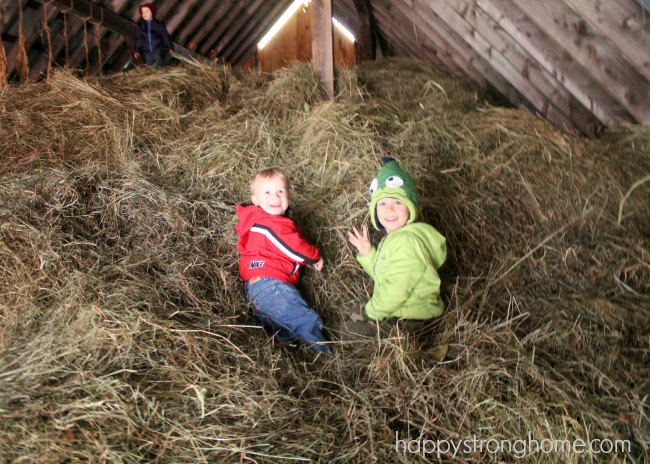 Hurst Farm Kids in Hayloft