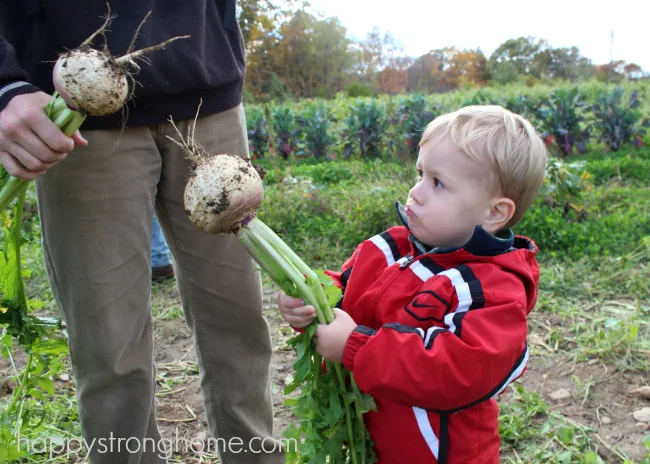 Hurst Farm Turnip Sword