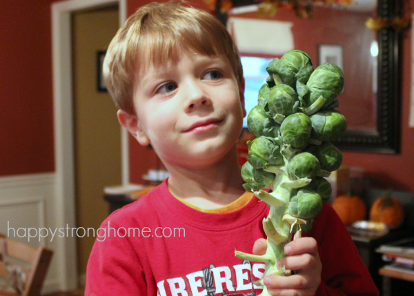 Brussel Sprouts Recipe