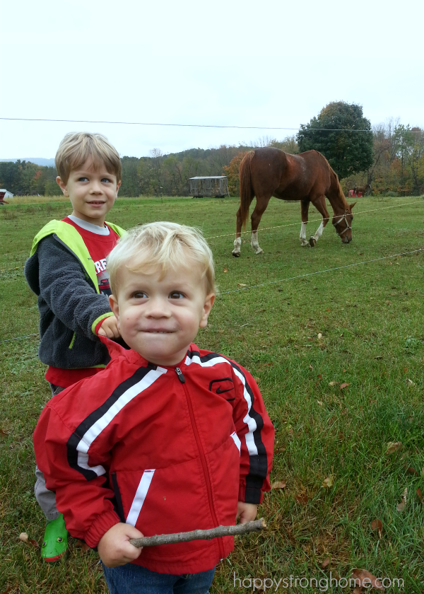 Robbs Farm Horse and kids
