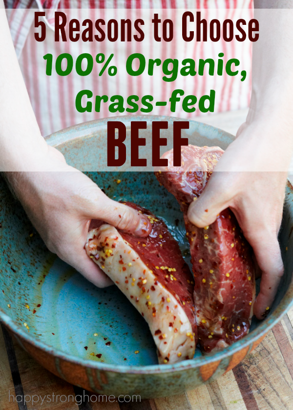 Grass fed Beef 