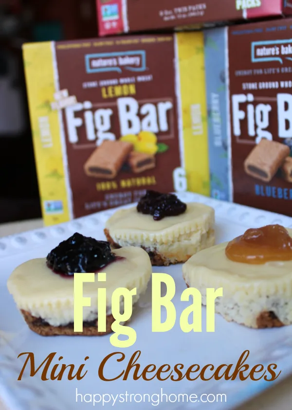 Fig Bar Cheesecake Recipe