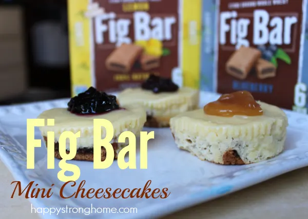 Fig Bar Cheesecake Recipe