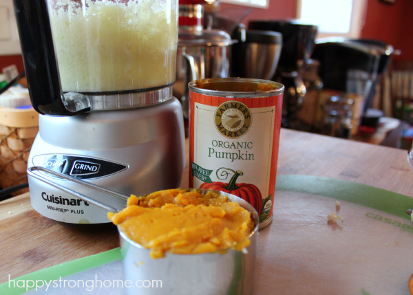 paleo pumpkin hummus dip