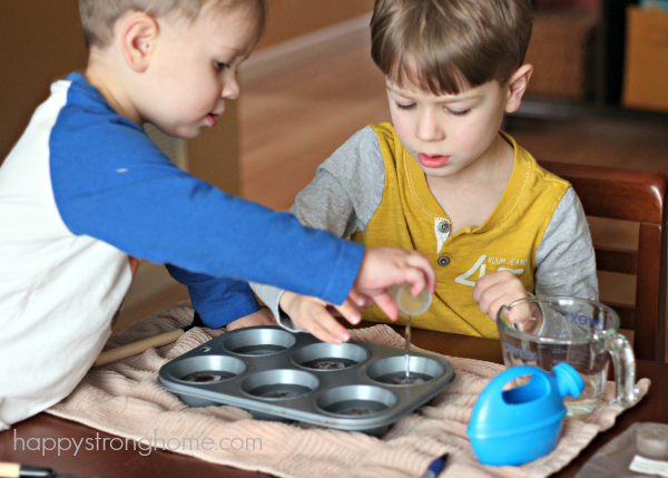 Hands On Gardening Activities for Kids