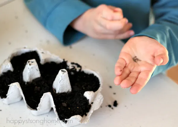 Hands On Gardening Activities for Kids