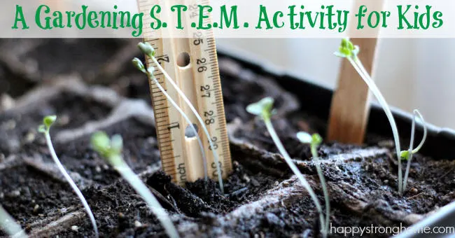 Gardening STEM Activity for Kids