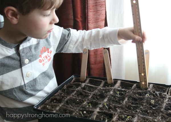 Gardening STEM Activity for kids