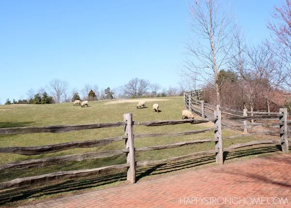 Mount Vernon Tour