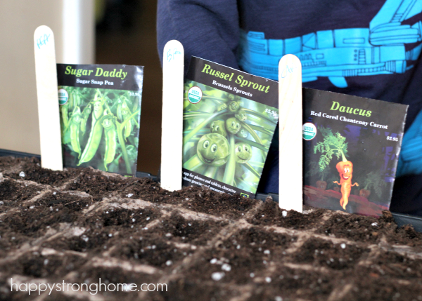 Gardening STEM Activity for kids