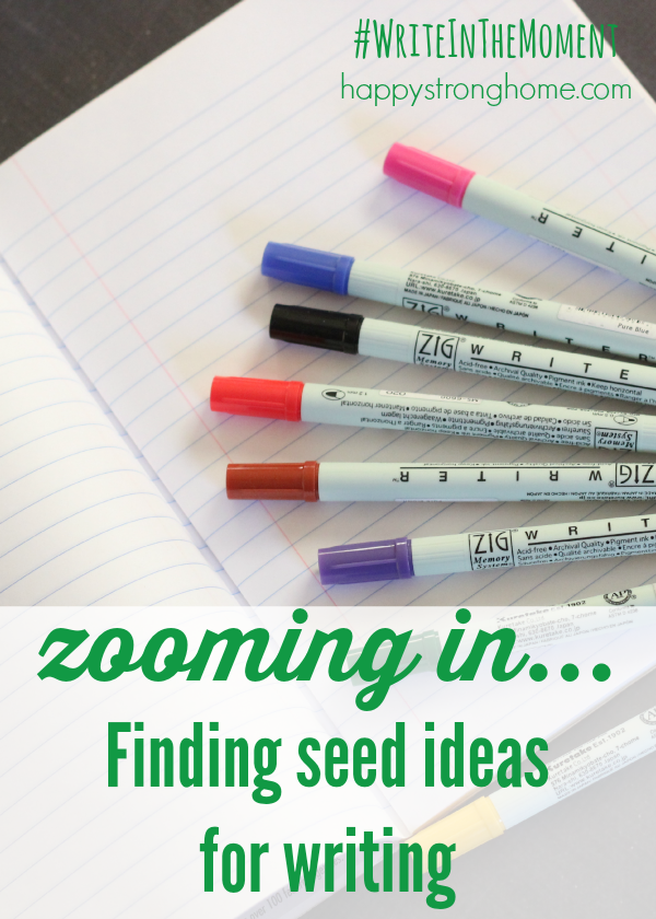 zooming in finding seed ideas for writing