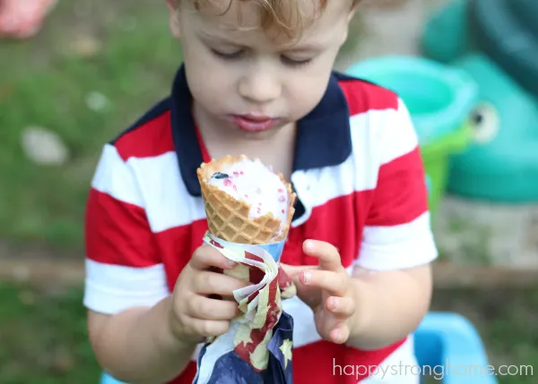 berry ice cream in a bag recipe