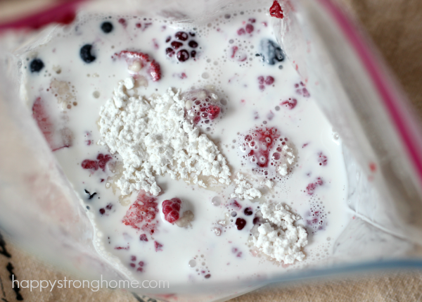 berry ice cream in a bag recipe