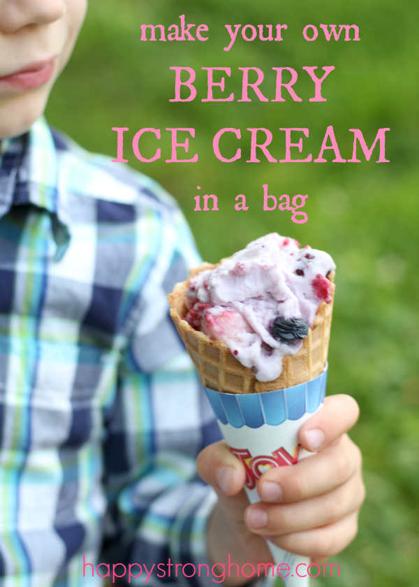 berry ice cream in a bag recipe