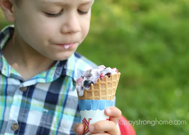 berry ice cream in a bag recipe