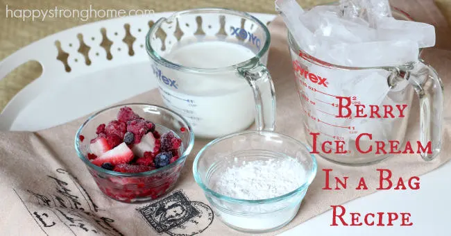 berry ice cream in a bag recipe