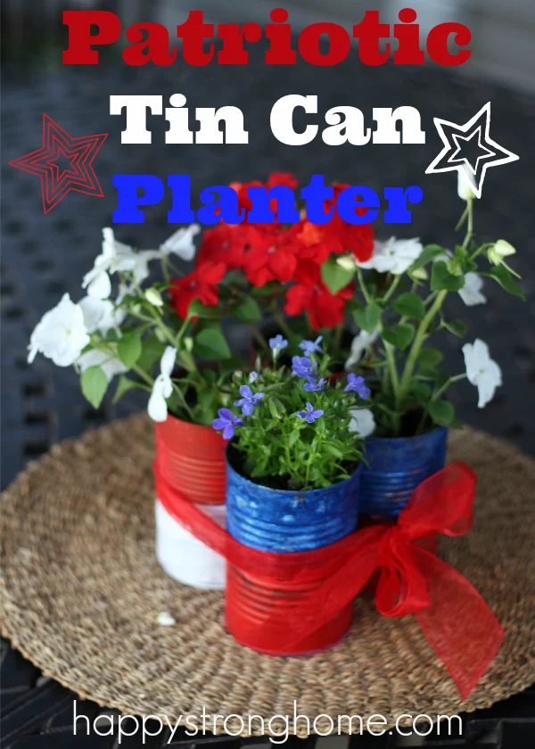 Patriotic Tin Can Planter Craft