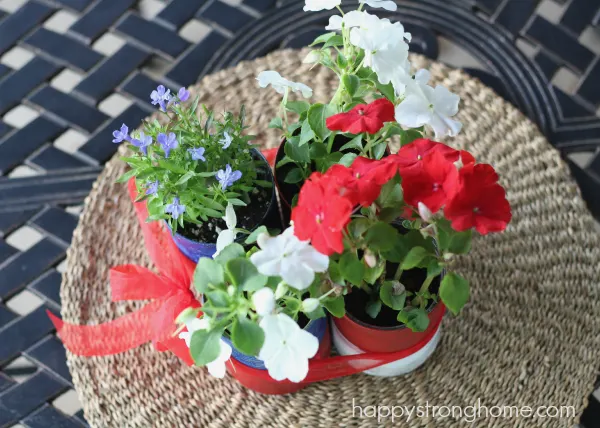 Patriotic Tin Can Planter Craft